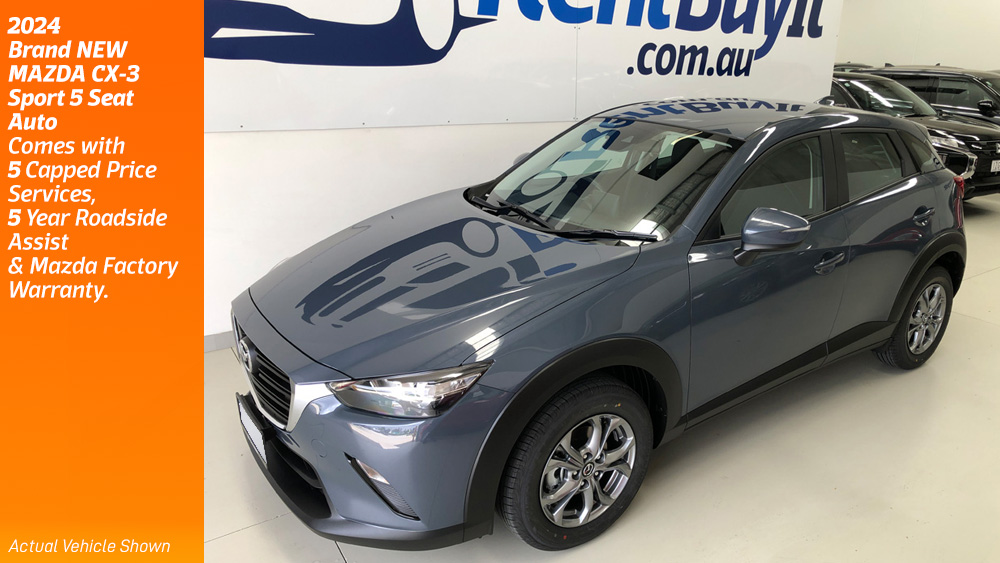 2024cx3_polymetalgrey_03