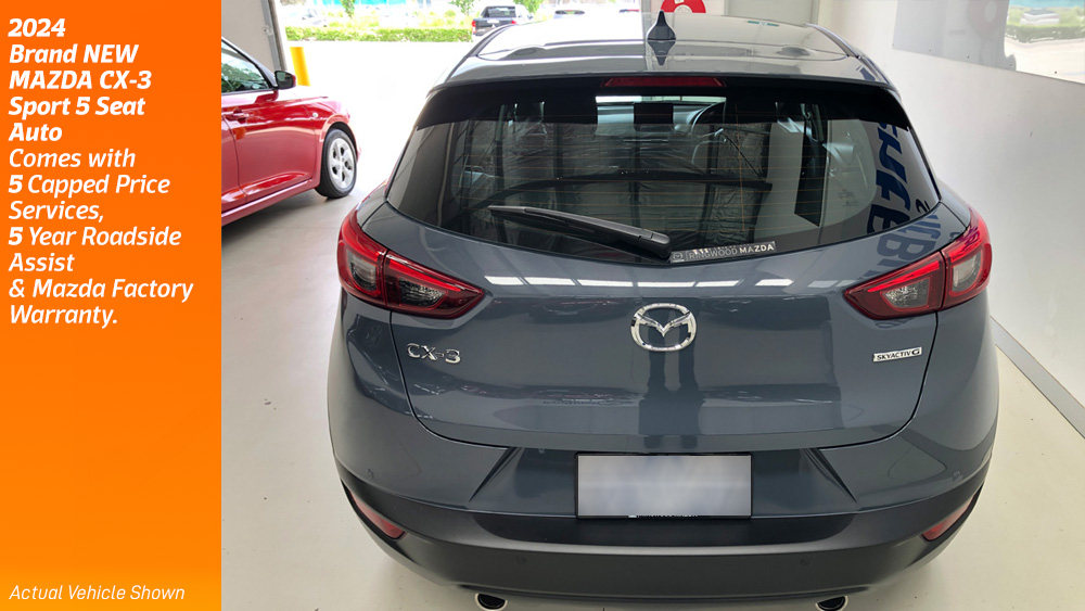 2024cx3_polymetalgrey_05